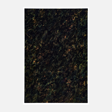 빛은 어둠의 부재