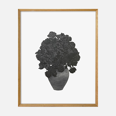 가만히 꽃을 그려보다