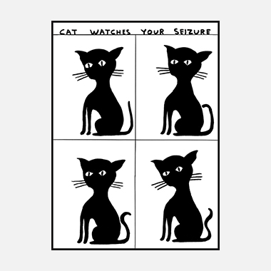 Cat Watches Your Seizure