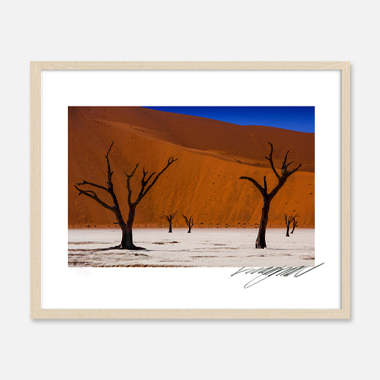 관련 작품 이미지