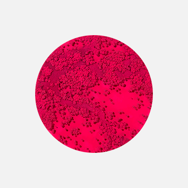 관련 작품 이미지