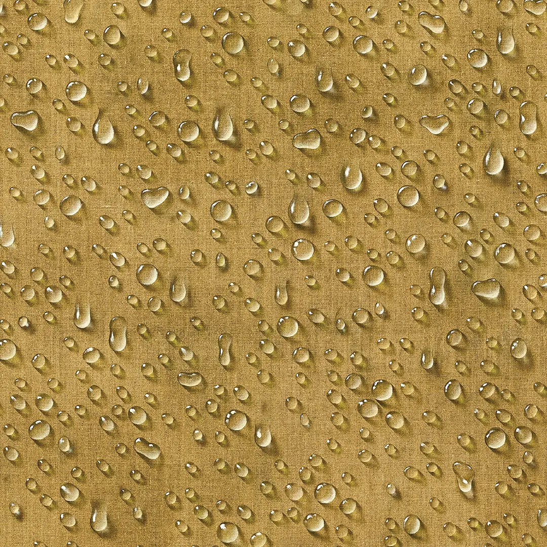 #1. 이큐와 물방울 앞에서