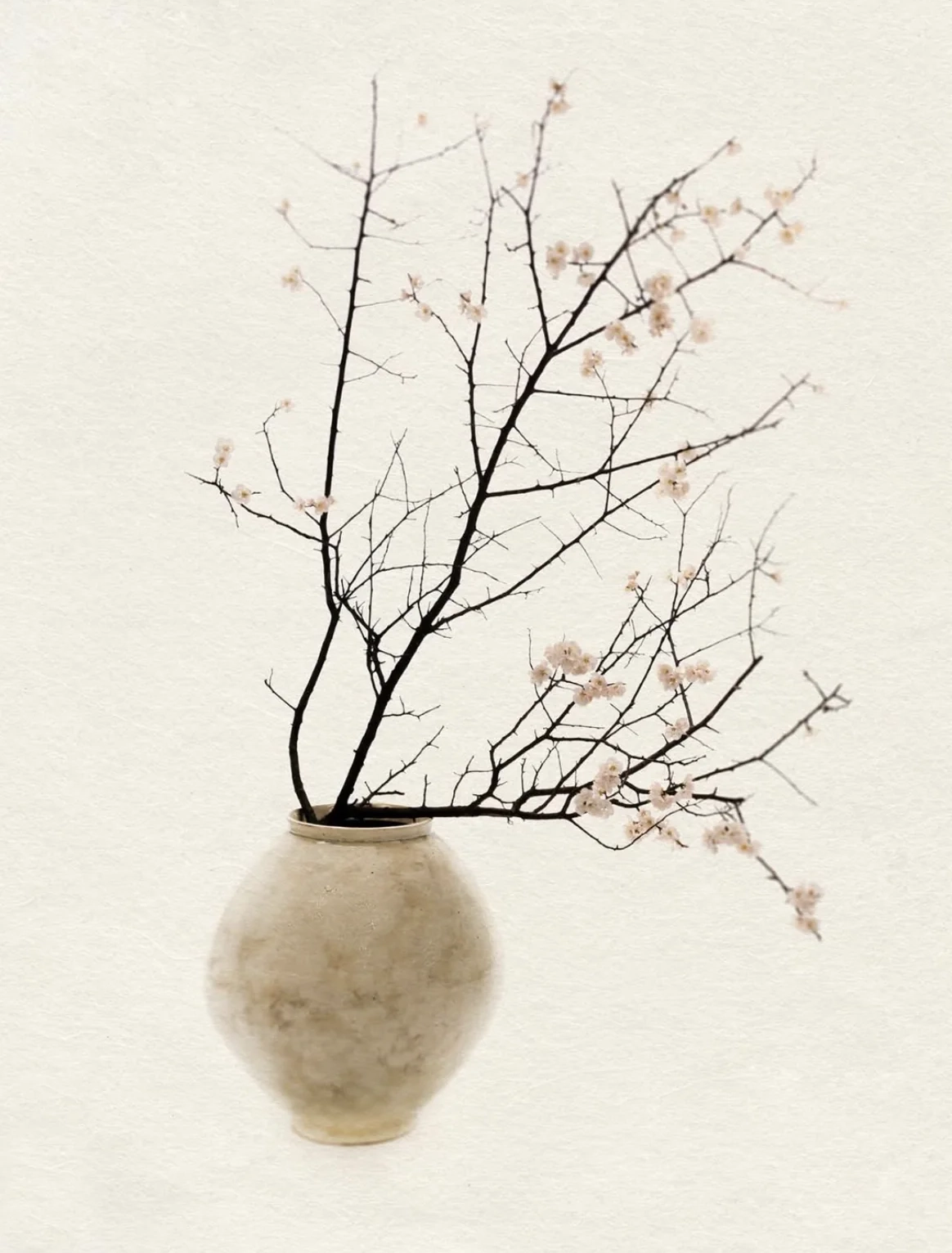 Jonghyun Nam Photo Exhibition