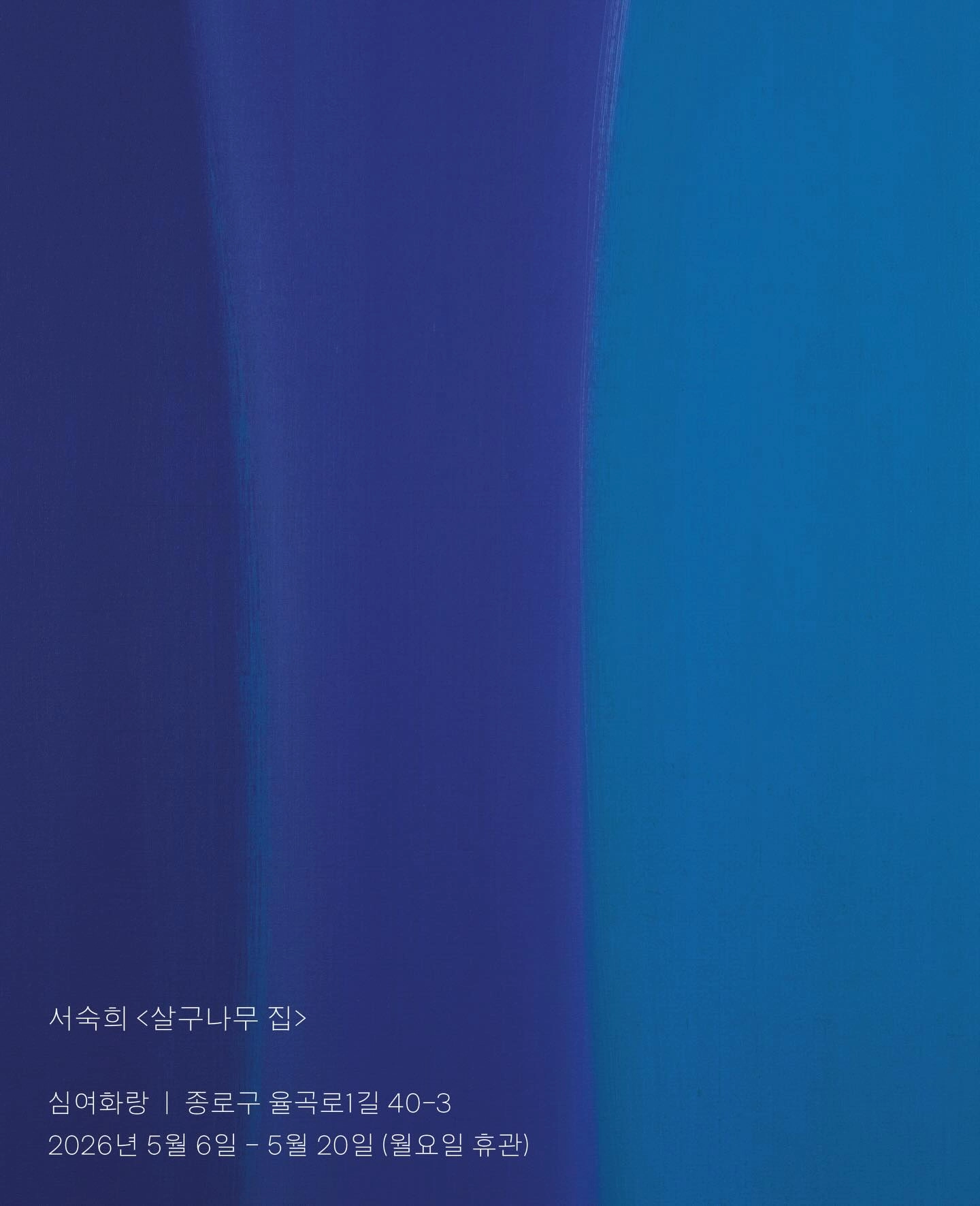 살구나무 집