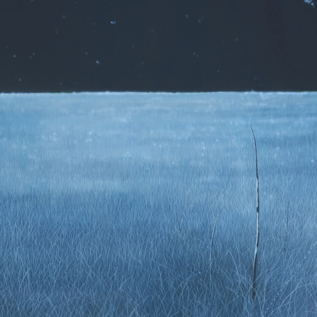 Nature: 가장 일상적이고, 가장 특별한