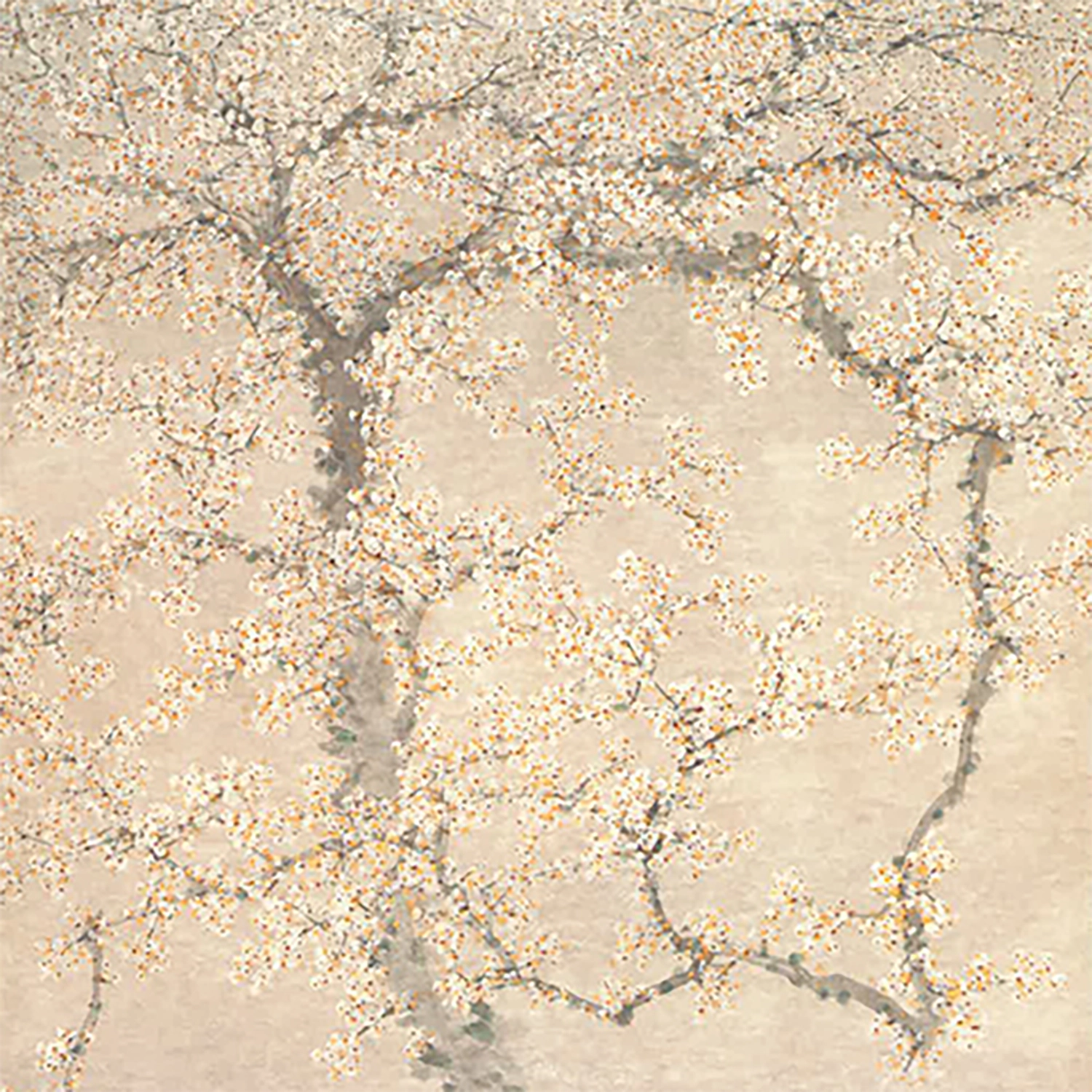 가지 끝 흰 것 하나