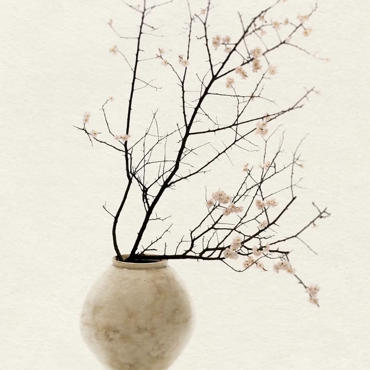 Jonghyun Nam Photo Exhibition