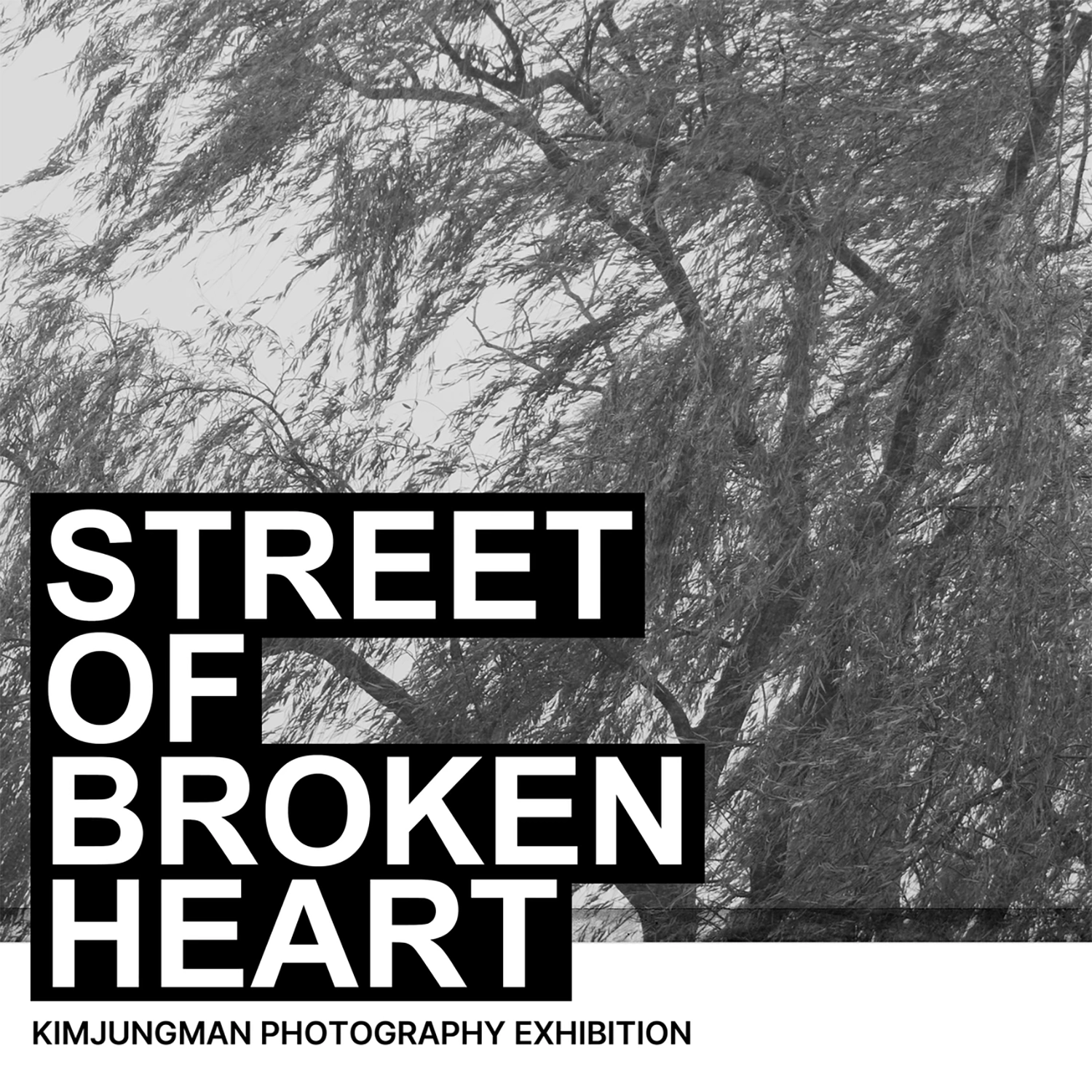 김중만 사진전 - STREET OF BROKEN HEART