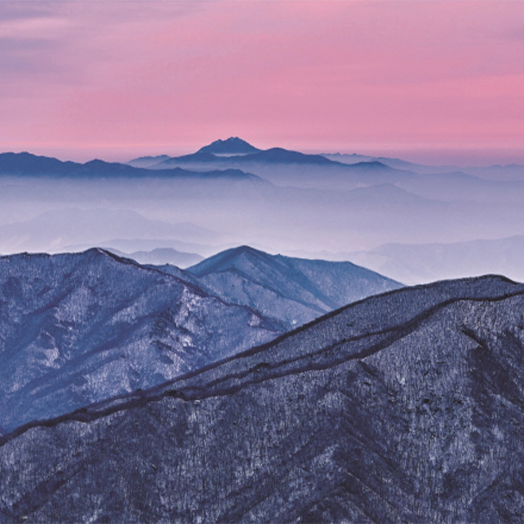 Blue Mountain 임채욱